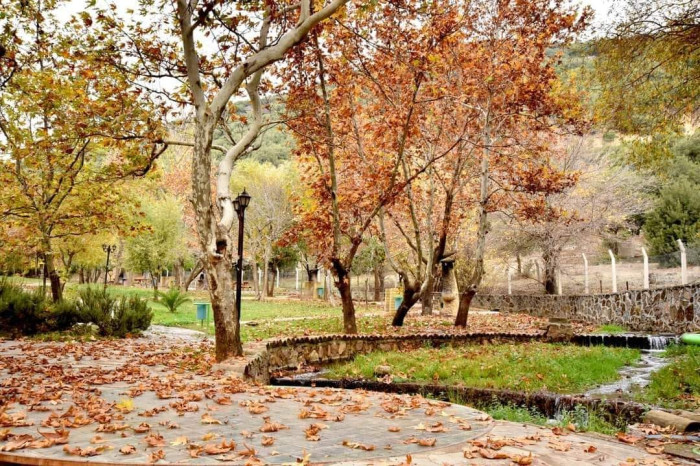 Su Değirmen parkında sonbahar!