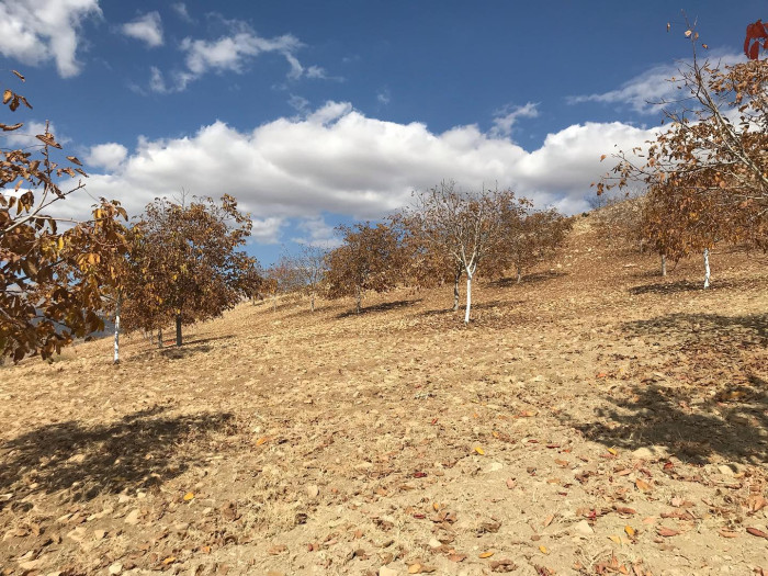 &Ccedil;ağlayancerit'te sonbahar!