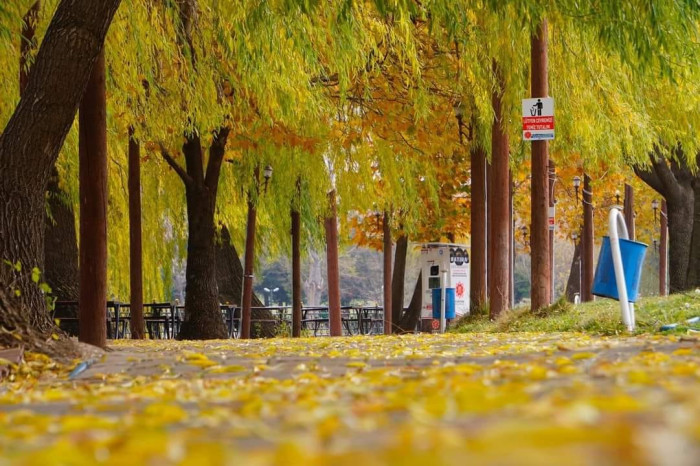 Elbistan'da sonbahar manzaraları