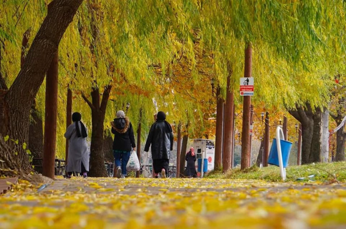 Elbistan'da sonbahar manzaraları