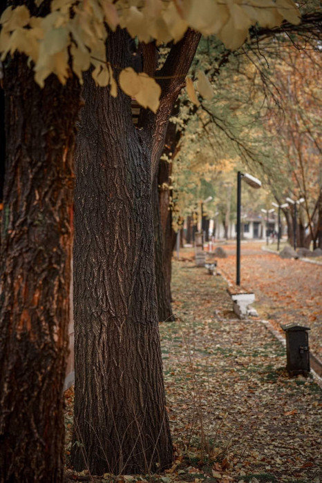 Elbistan'da sonbahar manzaraları