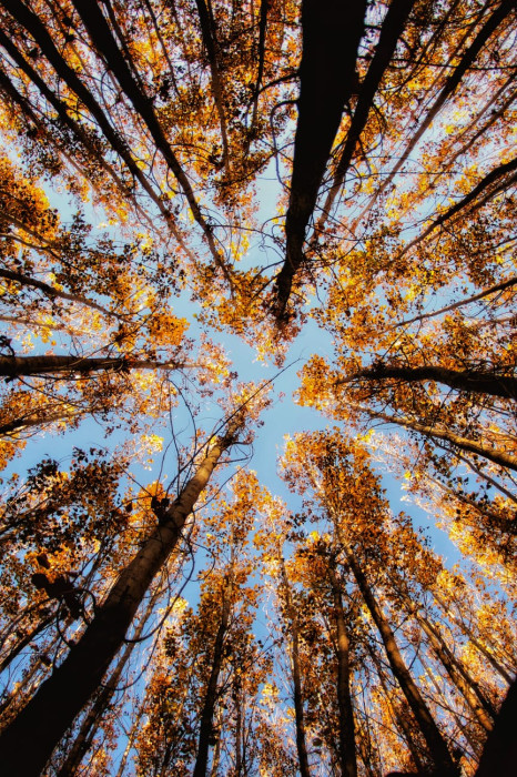 Dulkadiroğlu il&ccedil;esinde sonbahar manzaraları
