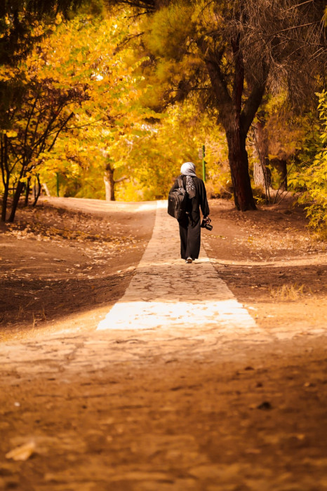 Dulkadiroğlu il&ccedil;esinde sonbahar manzaraları