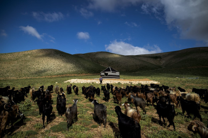 Dulkadiroğlu il&ccedil;esinde sonbahar manzaraları