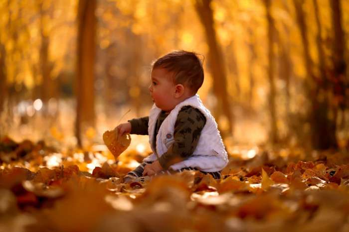 Dulkadiroğlu il&ccedil;esinde sonbahar manzaraları
