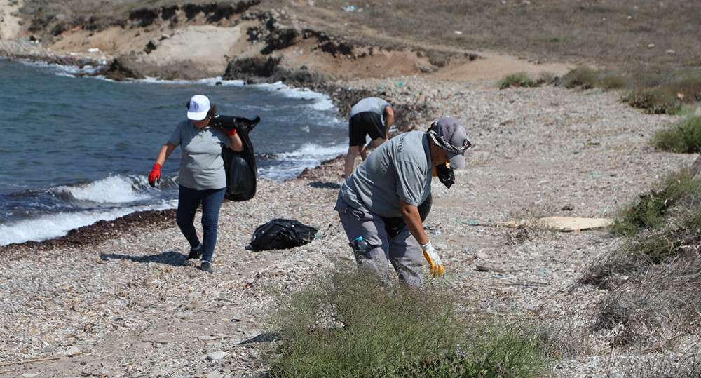 Turgutreis &Ccedil;atal Ada&rsquo;da Kum Zambağı Farkındalık Etkinliği!